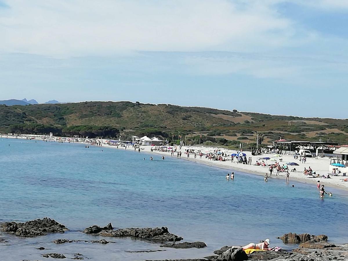 Affittacamere Al Mare Da Francesca Olbia